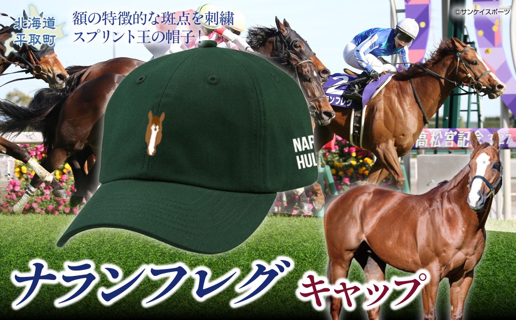 ナランフレグ