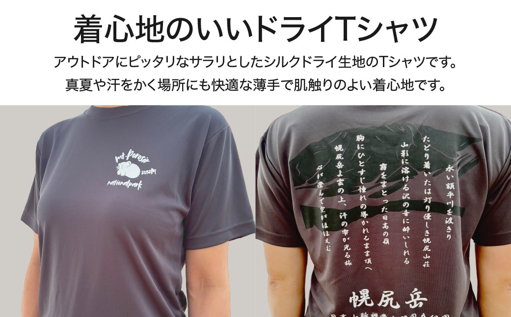 山詩Tシャツ