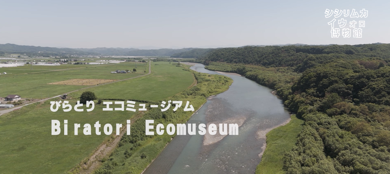 概要版