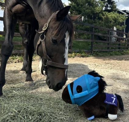 オジュウチョウサン