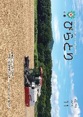 広報びらとり表紙（令和7年11月号）